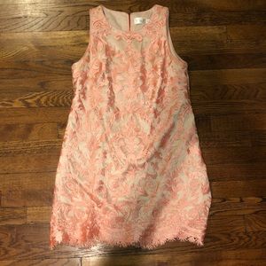 Eliza J Pink and Nude Detailed Dress